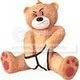 bear.jpg