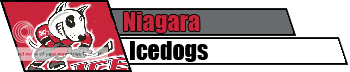 Niagara Icedogs