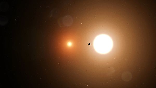 An artist's concept of the exoplanet TOI 1338 b orbiting its two parent stars.
