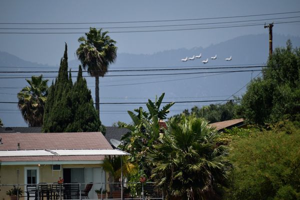 A snapshot of the Thunderbirds as they prepared to head towards downtown Los Angeles after flying over the City of Industry in California...on May 15, 2020.