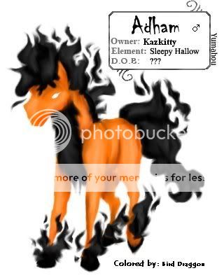 User Image