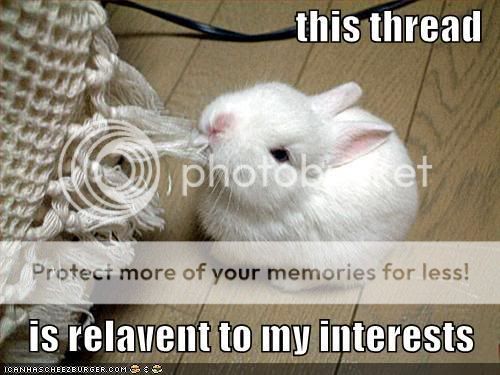 Awesome Chat Mark II: Return of the General Chat Funny-pictures-rabbit-eats-thread