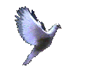 https://img.photobucket.com/albums/v485/ShadowOfDeath/dove.gif