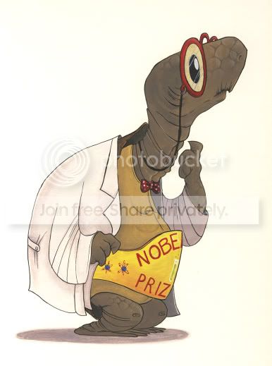 turtle2.jpg