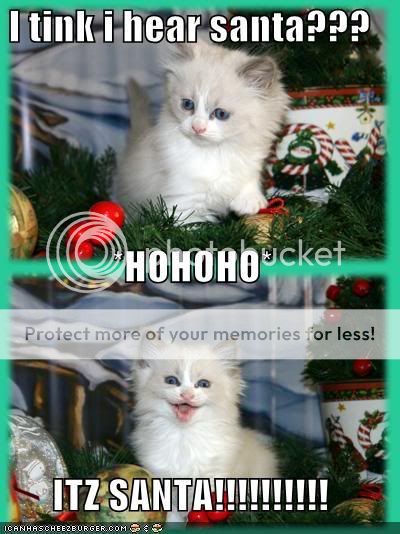 Downtime Spam Thread Funny-pictures-its-santa-cat