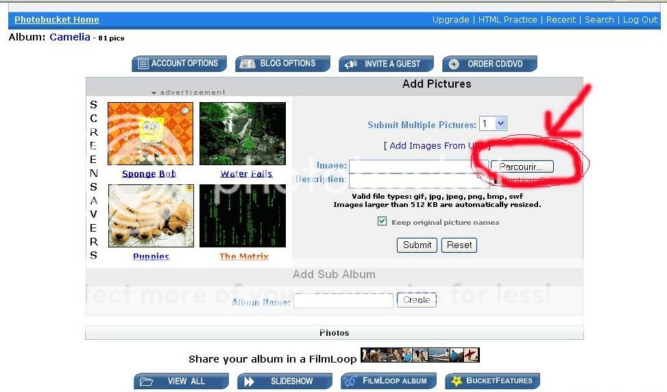 De Photobucket au forum... Photobucket3