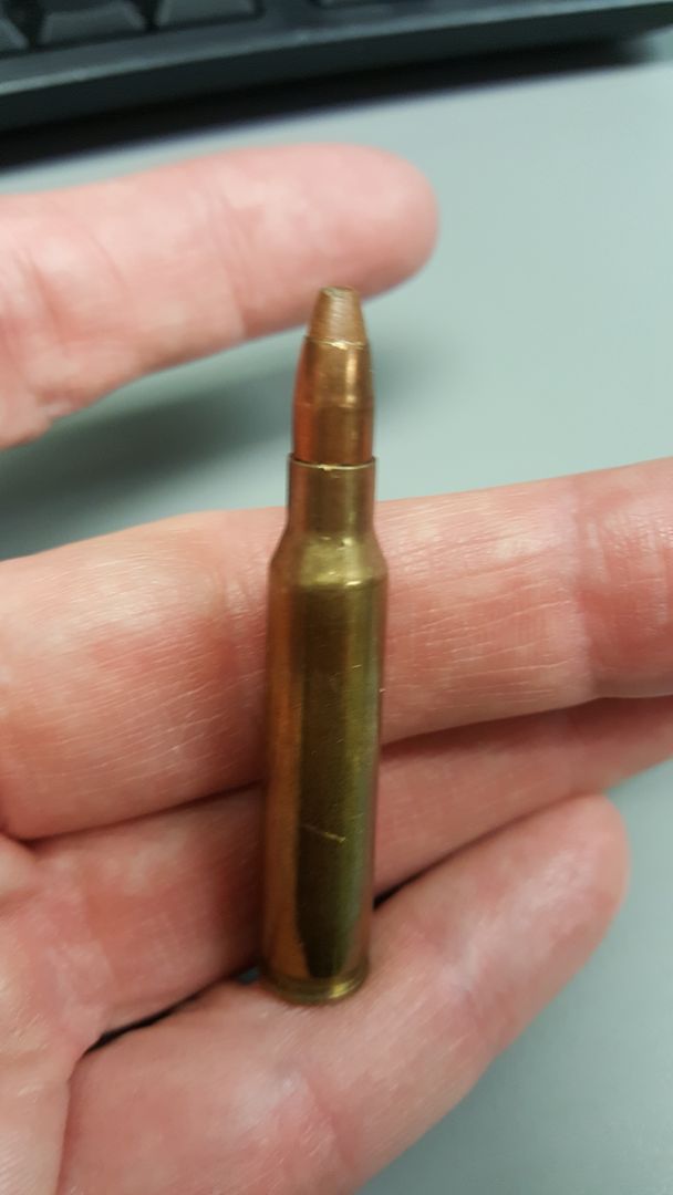 What ammunition is this? A 5.56 with a brown tip. - Pics - AR15.COM