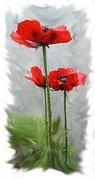 Rememberance Day Artdecopoppy2