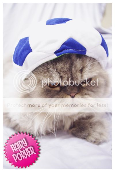 Christmas Sale [Soccer Pet Hat for Cat and Dog] Costume Cap 4 Size 