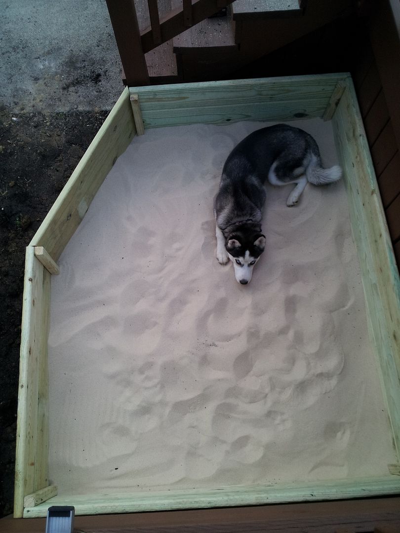Built Mieka a sandbox!! 2012-04-13195344