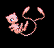[PokeCommunity.com] The Official Mew Club