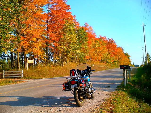 Some pix of my 650s FallColours