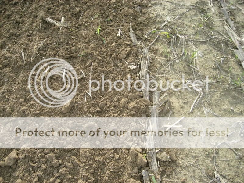 prikljuci za reduciranu i normalnu obradu tla te za direktnu sjetvu (no till) Picture074