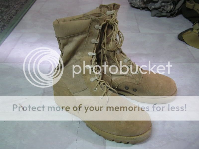 desert  boots P1010136-1
