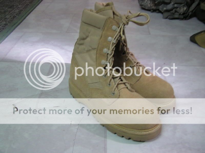 desert  boots P1010137-1