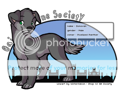 User Image