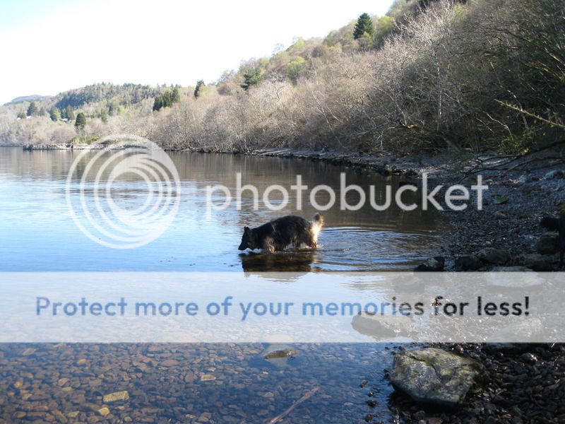 Loch Ness 2015 Part 3 IMG_3764_zpstuwdezzq