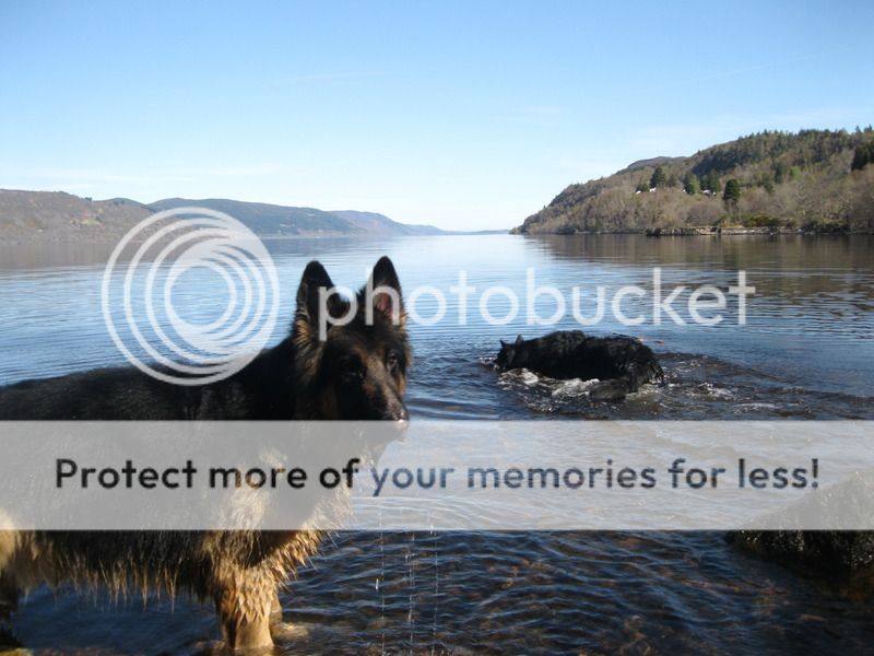 Loch Ness 2015 Part 3 IMG_3778_zps6pc0qx5h