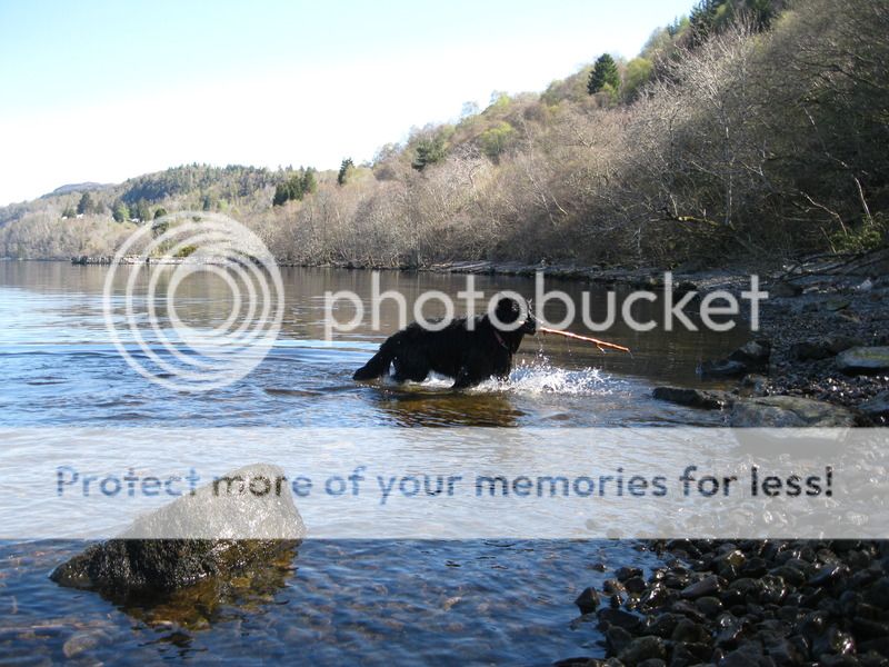 Loch Ness 2015 Part 3 IMG_3779_zpse4yhsjmd