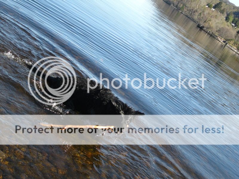 Loch Ness 2015 Part 3 IMG_3781_zpsamtaofya
