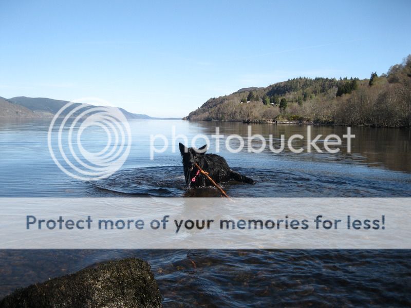 Loch Ness 2015 Part 3 IMG_3784_zps9tiuqbmt