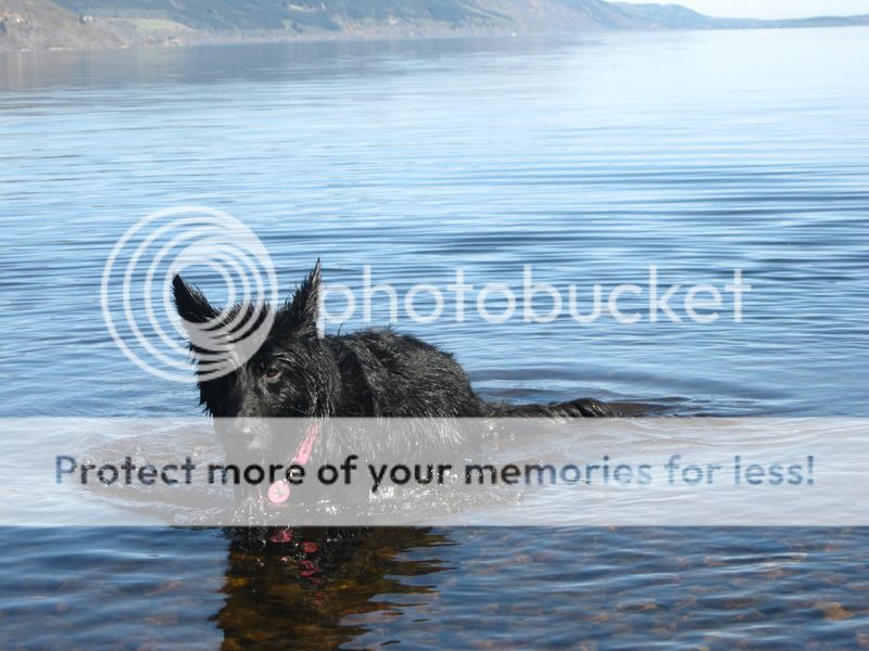 Loch Ness 2015 Part 3 IMG_3787_zpso4sz2mtj