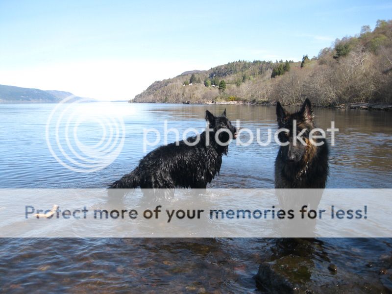 Loch Ness 2015 Part 3 IMG_3791_zps8tumtekb