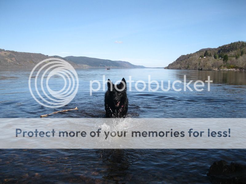 Loch Ness 2015 Part 3 IMG_3800_zpsqkuyzh04