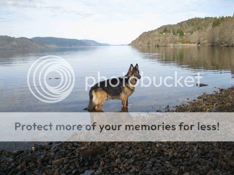 Loch Ness 2015 Part 3 IMG_3851_zpsonk79vrd