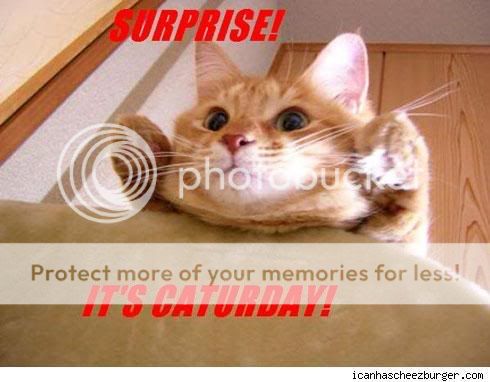 surprise-its-caturday2.jpg
