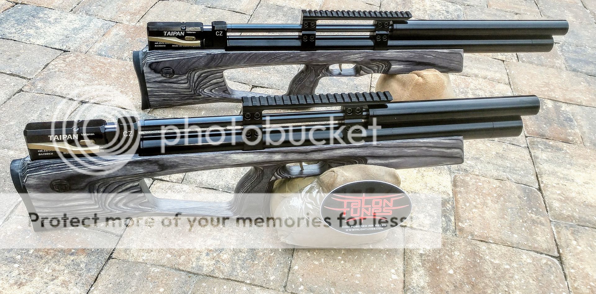 Taipan Veteran Laminate Talonairgun