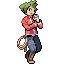 [PokeCommunity.com] TDT-The Sprite Master Returns
