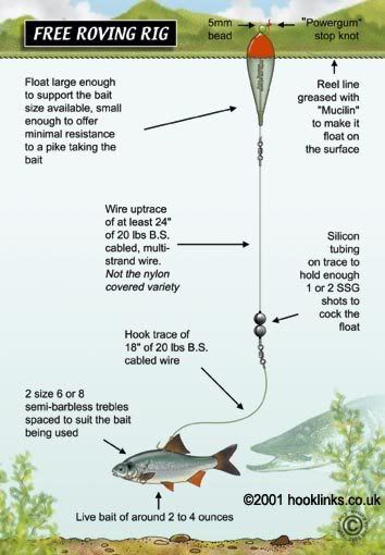 Snapper Bung Float Kit Hooklinks-FreeRovingRig