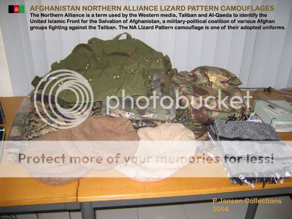 Afghan Northern Alliance camo China Copy And Real stuff  Lizard pattern  NALizard2