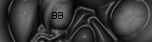 [PokeCommunity.com] BB's Banner Place!