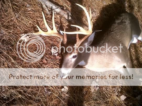 Post up the deer pics!!!! IMG959755