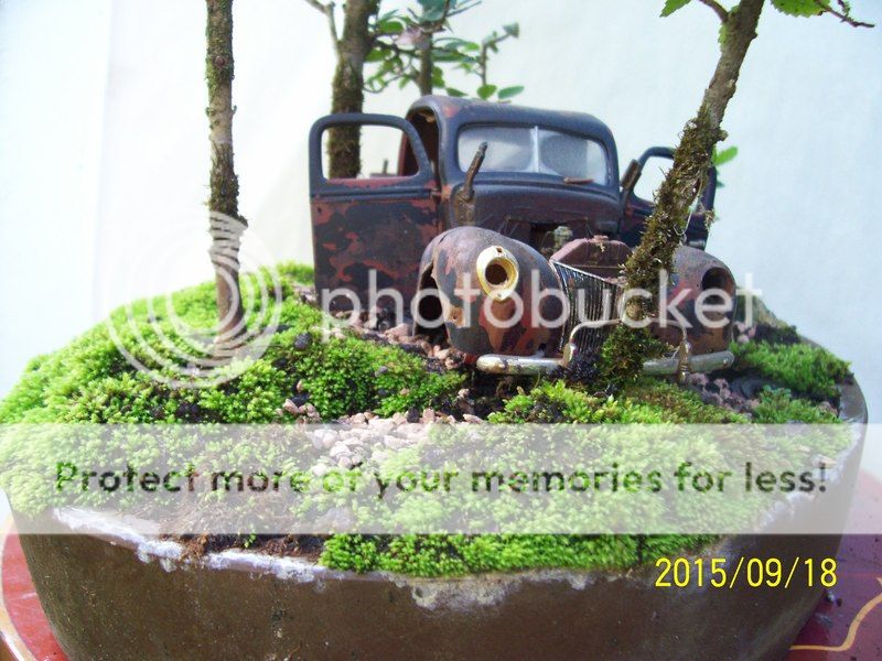 Abandoned car bonsai rework 000_2584_zpspzgbupn1