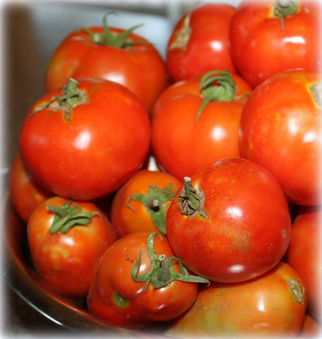 Scalloped Tomatoes with Herbs