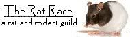 The Rat Race: A rat and rodent guild. banner