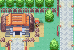 [PokeCommunity.com] Pokémon Project 001