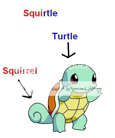 FUCK YES Squirtle