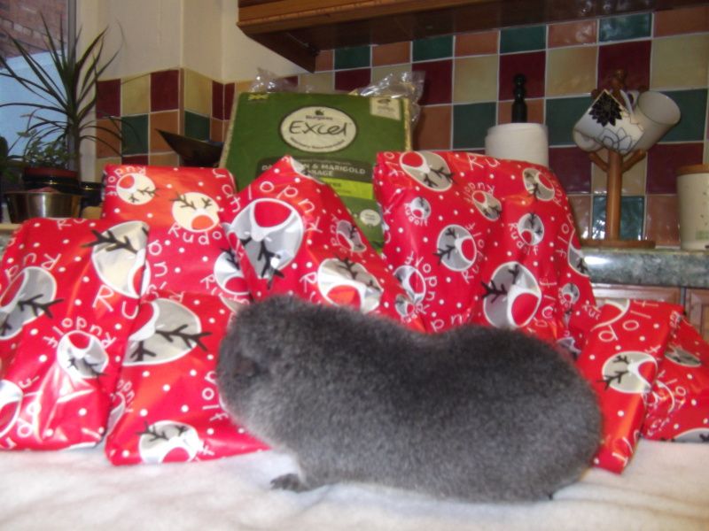 DSCF8224.jpg