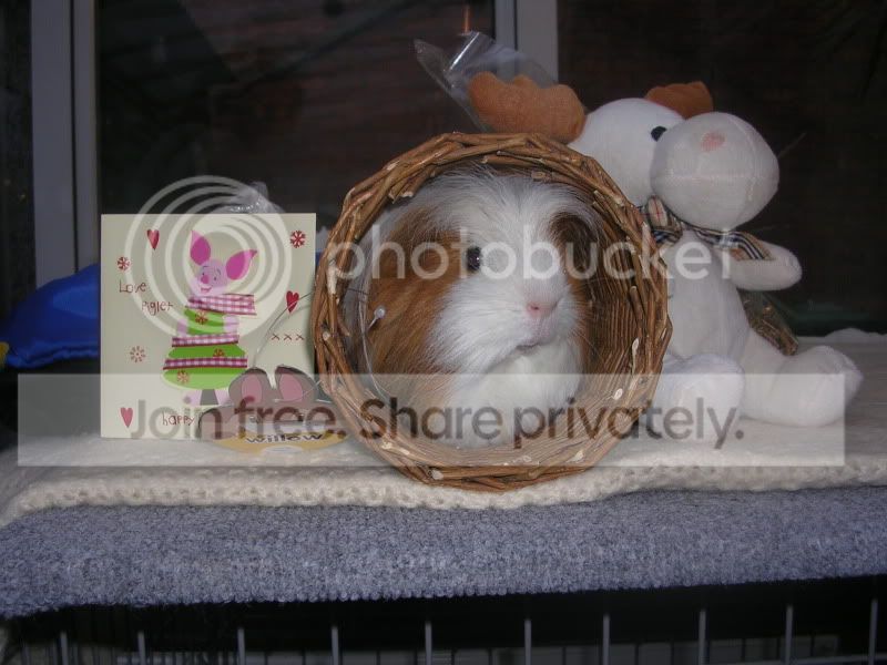 SecretSanta015.jpg