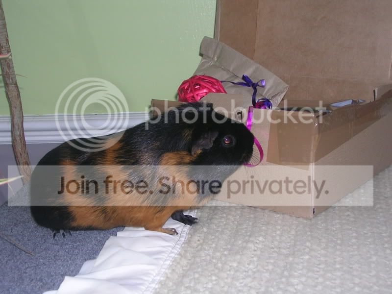 SecretSanta034.jpg