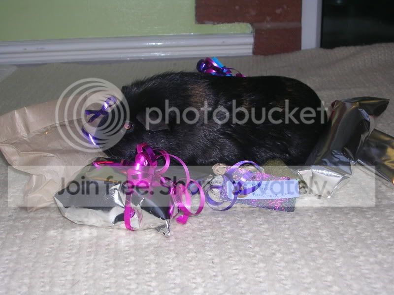 SecretSanta037.jpg