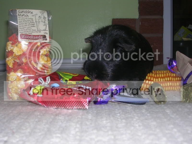 SecretSanta042.jpg