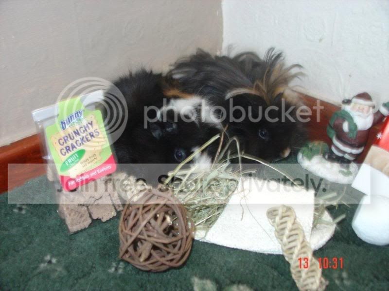 StarandStripesSecretSanta.jpg