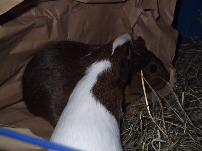 DSCF1129.jpg