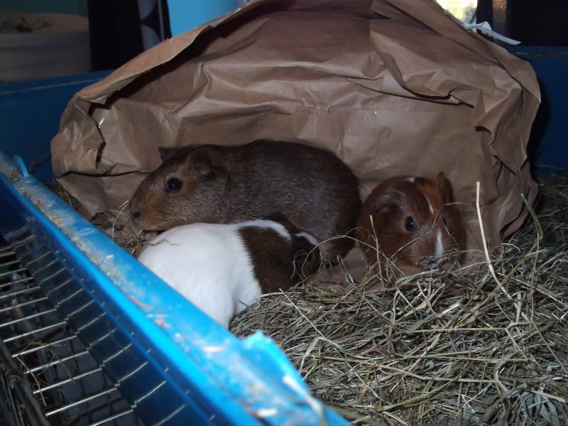 DSCF1145.jpg