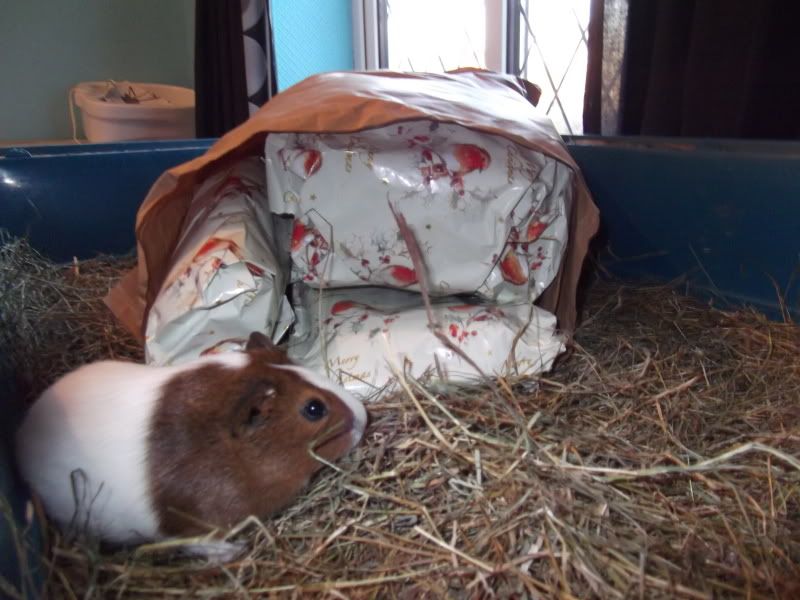 DSCF1149.jpg